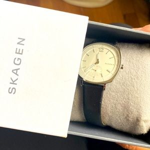 skagen watch